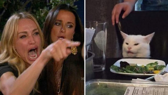 Mème « Angry Lady Cat »