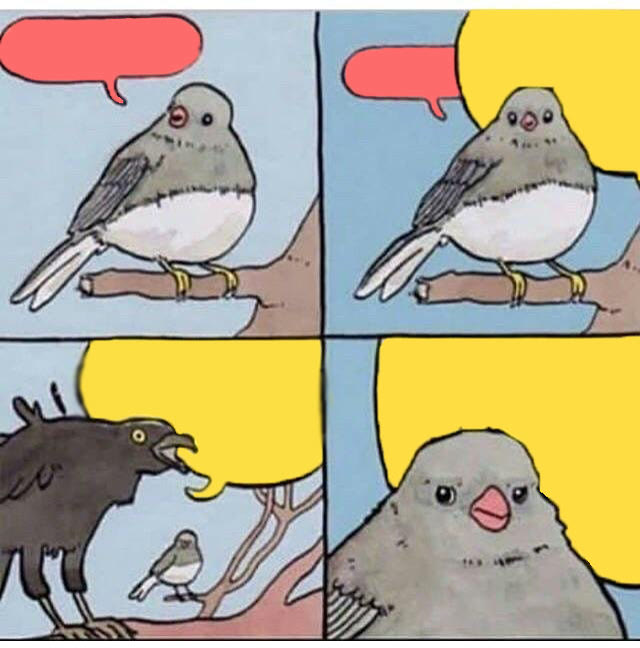Mème « Annoyed Bird »