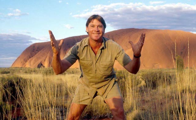 Mème « Steve Irwin »