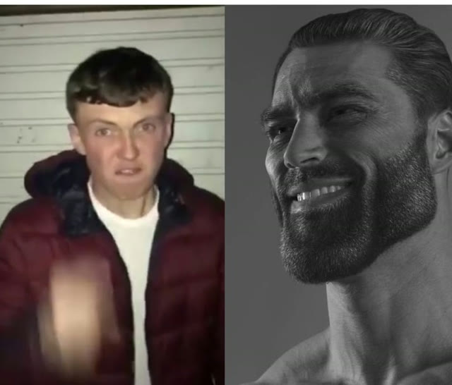 "Average Fan vs Average Enjoyer" meme
