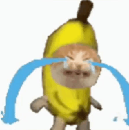 Mème « Banana Cat »