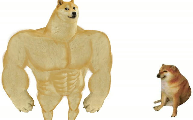 Mème « Big Dog Small Dog »