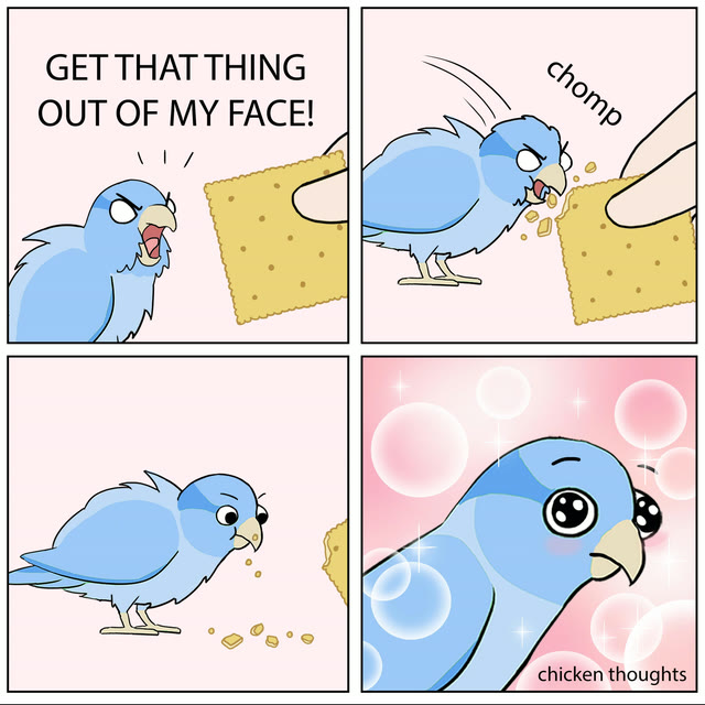 Mème « Bird Cracker »