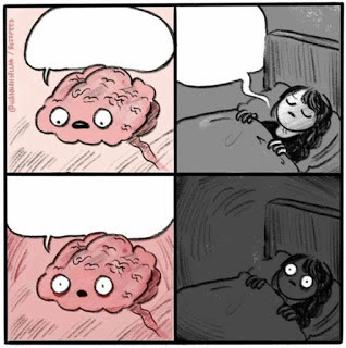 "Brain Before Sleep" meme