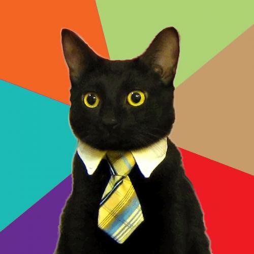 Mème « Business Cat »