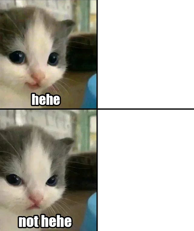 "Cute Cat Hehe and Not Hehe" meme