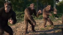 Mème « Dancing Monkeys »