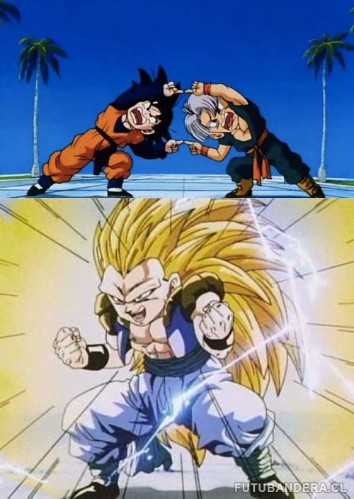 "DBZ FUSION" meme