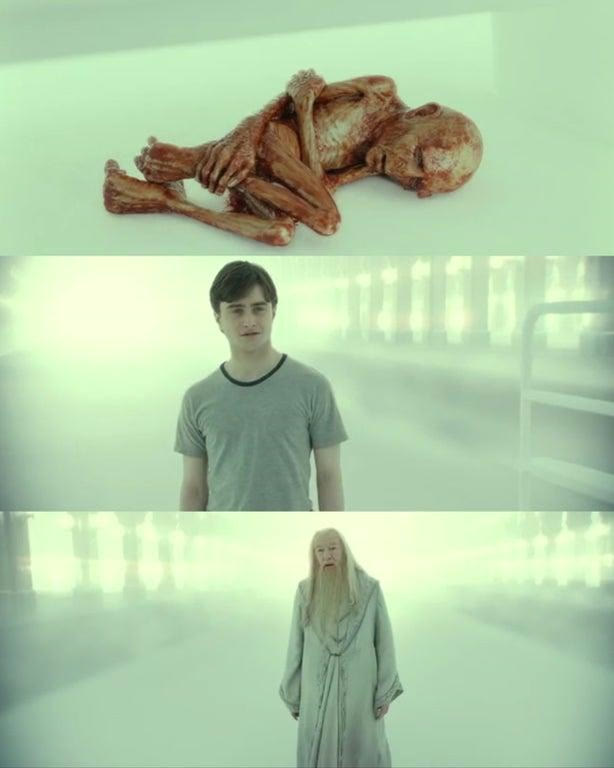 Mème « Dead Baby Voldemort / What Happened to Him »