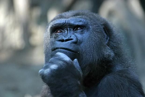 "Deep Thoughts" meme