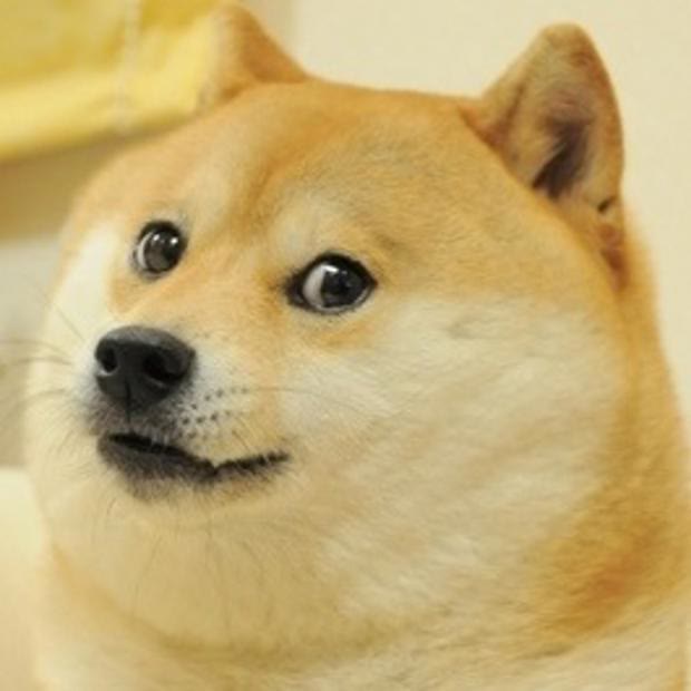 "Doge" meme