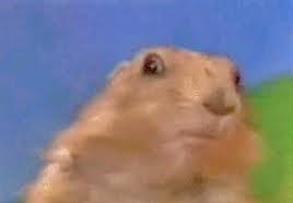 Mème « Dramatic Chipmunk »