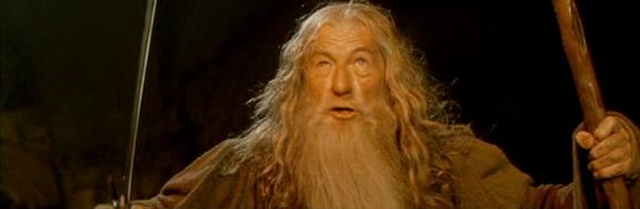 "Gandalf You Shall Not Pass" meme