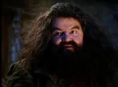 Mème « Hagrid Yer a Wizard »