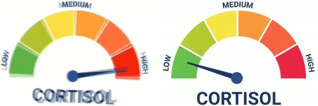 "High vs Low Cortisol" meme