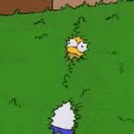 "Homer Disappears Into Bush" meme