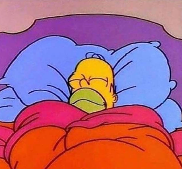 "Homer Simpson Sleeping Peacefully" meme