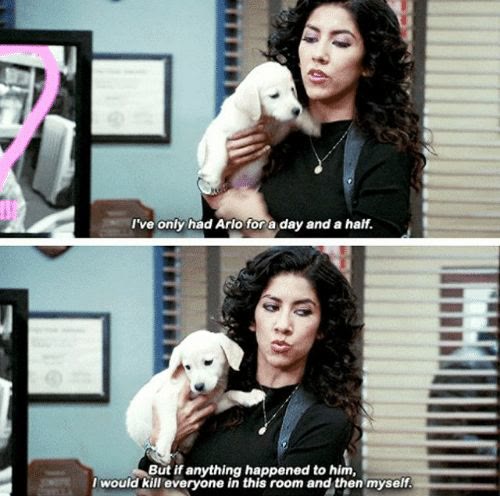 Mème « I've Only Had Arlo for a Day and a Half »