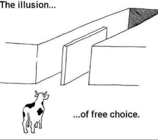 Mème « Illusion of Free Choice »