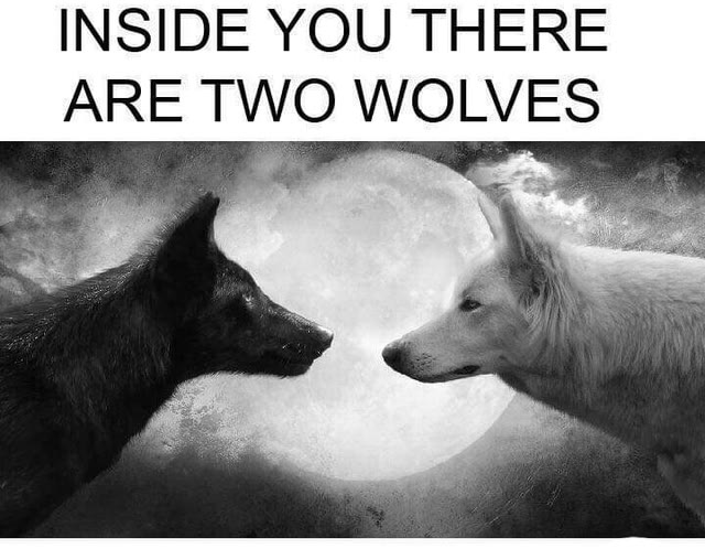 Mème « Inside You There Are Two Wolves »