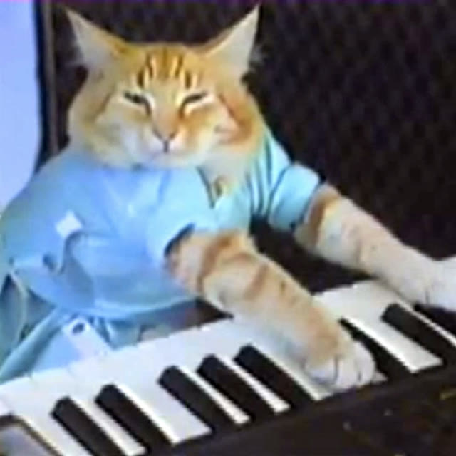Mème « Keyboard Cat »