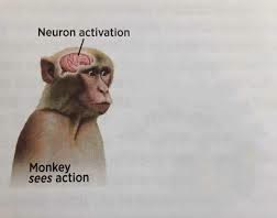 Mème « Neuron Activation »
