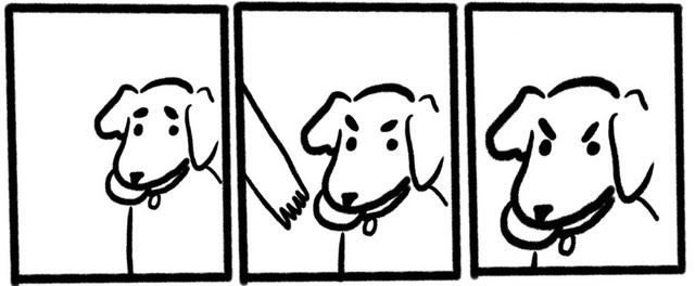 Mème « No Take, Only Throw »