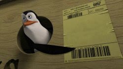 Mème « Penguin Pointing at Shipping Label »