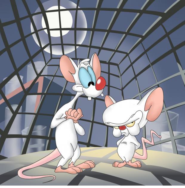 Mème « Pinky and the Brain »