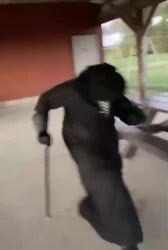 Mème « Plague Doctor Gangsta's Paradise »