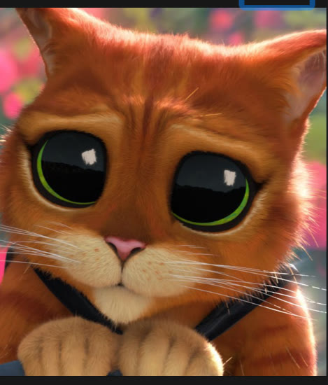 Mème « Puss in Boots Eyes »