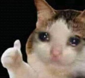 Mème « Sad Thumbs Up Cat »