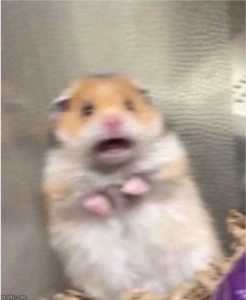 Mème « Scared Hamster »