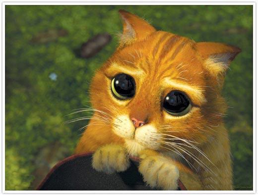 Mème « Shrek Cat »