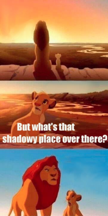 "Simba Shadowy Place" meme