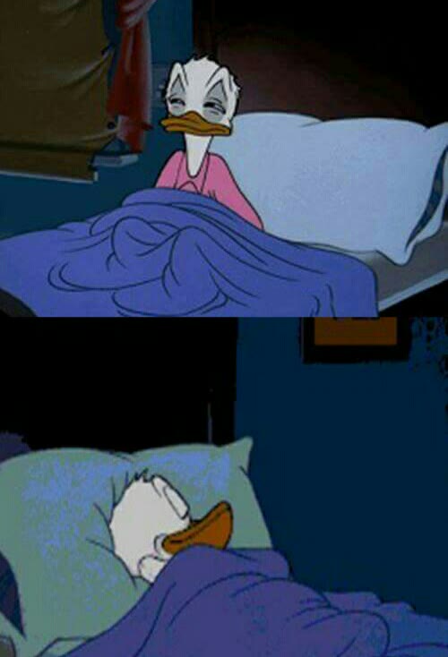 Mème « Sleepy Donald Duck in Bed »