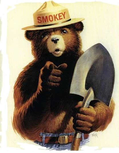 Mème « Smokey the Bear »