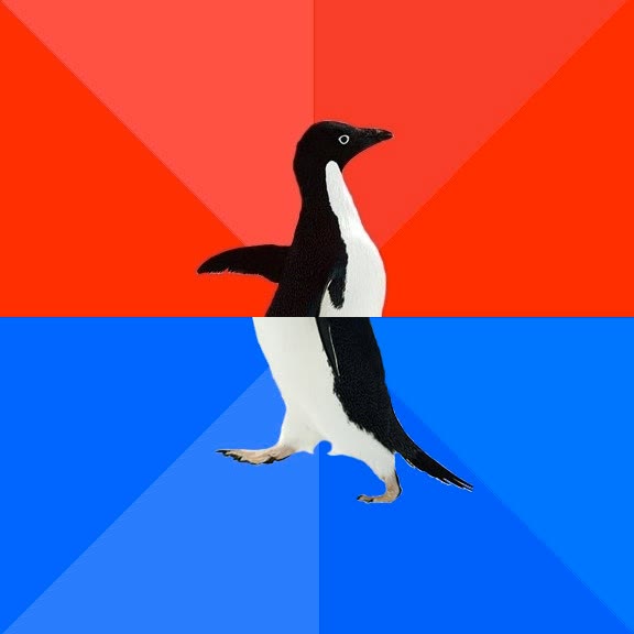Mème « Socially Awesome Awkward Penguin »