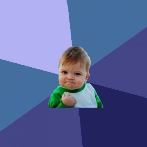 Mème « Success Kid »