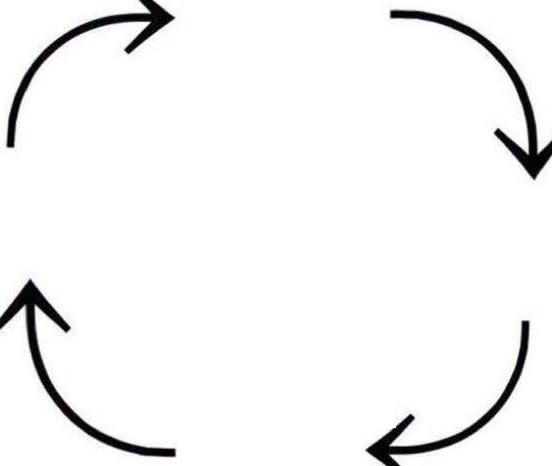 Mème « The Circle of Life »