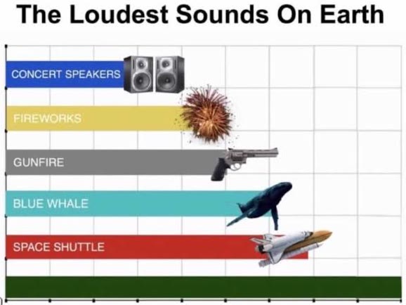 Mème « The Loudest Sounds on Earth »