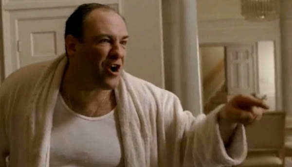 "Tony Soprano in This House" meme