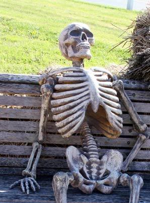 Mème « Waiting Skeleton »