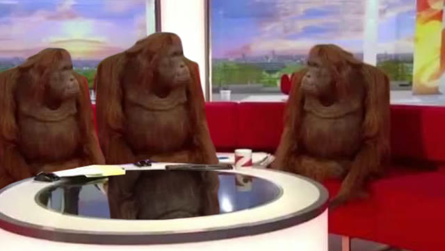 Mème « Where Monkey »
