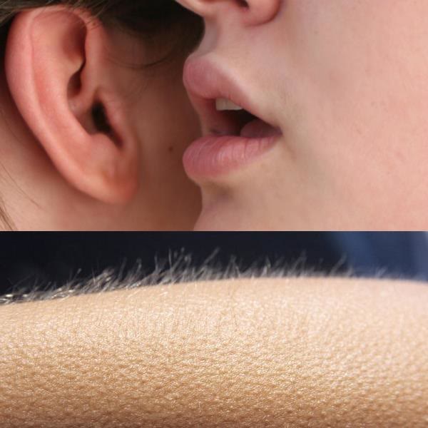 Mème « Whisper and Goosebumps »