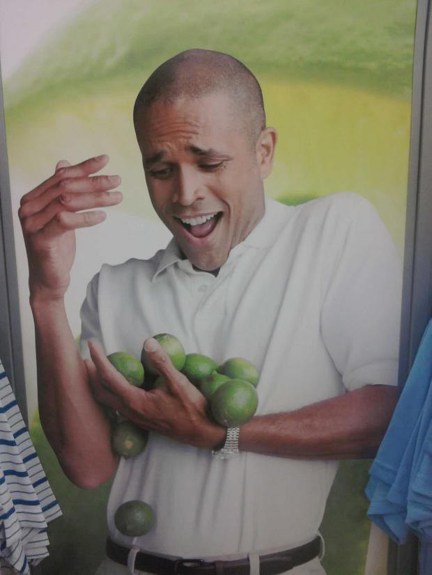 "Why Can't I Hold All These Limes" meme