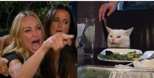 "Woman Yelling At Cat" meme
